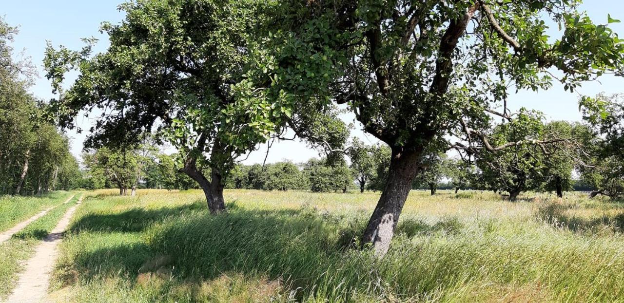 Gaestehaus Hoeltig Havekost Kültér fotó